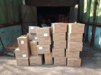 WhatsApp Image 2023-04-14 at 18.44.54.jpeg