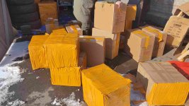 1740475336088 (2).jpg